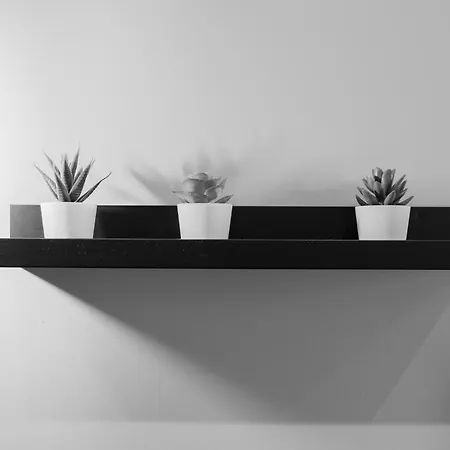 Casalmare Levante - Ponente